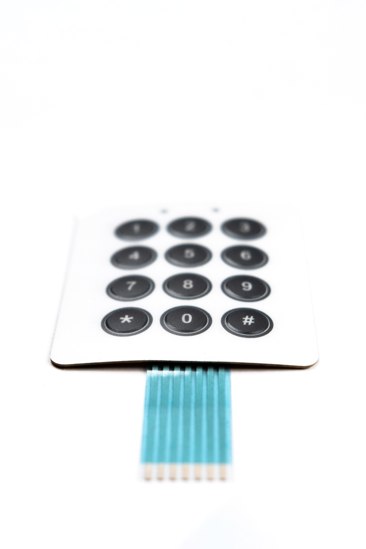 Membrane Switch