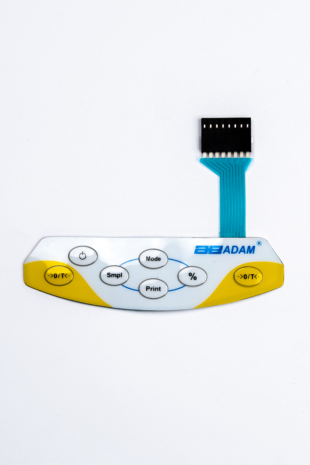 Membrane Switch